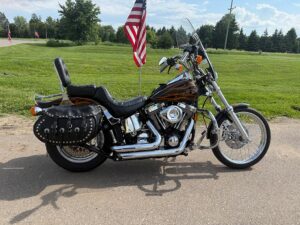 1993 FXSTC Softail Custom